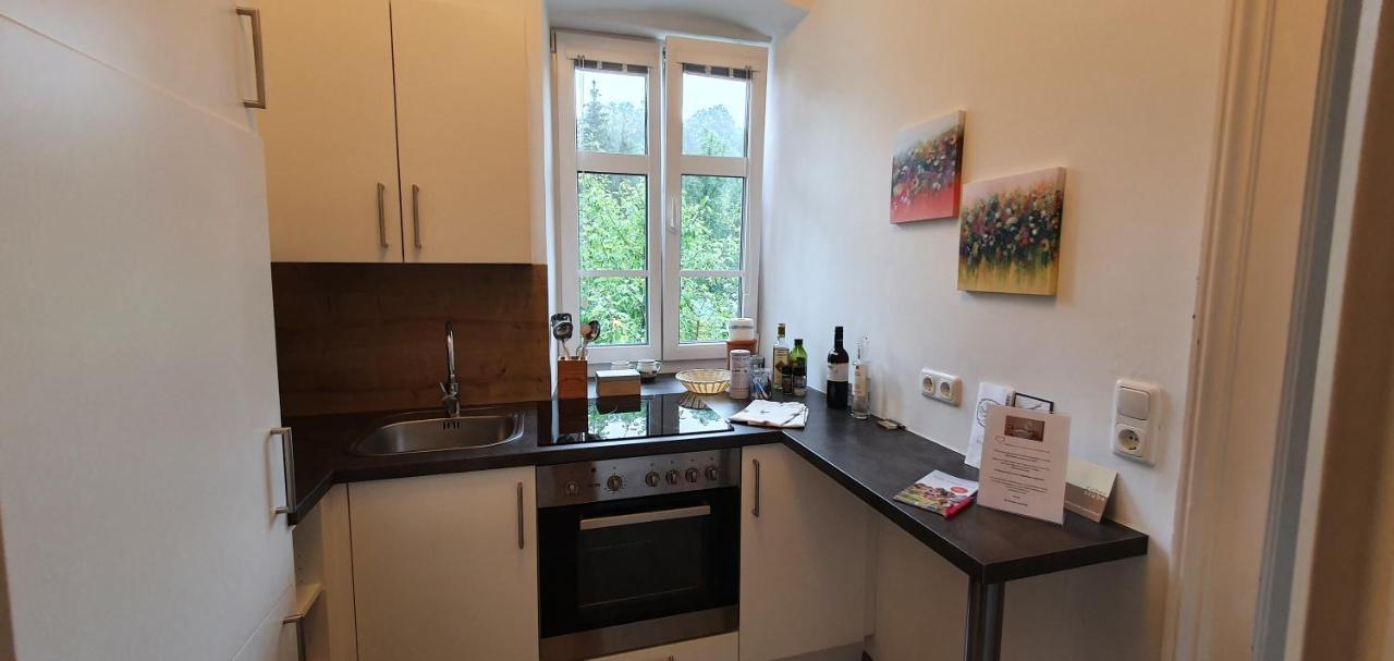 Appartements Maximilian Göstling an der Ybbs Buitenkant foto