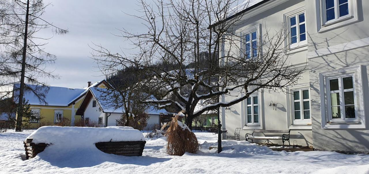 Appartements Maximilian Göstling an der Ybbs Buitenkant foto